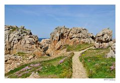 Côte de Plougrescant .3 - Bretagne