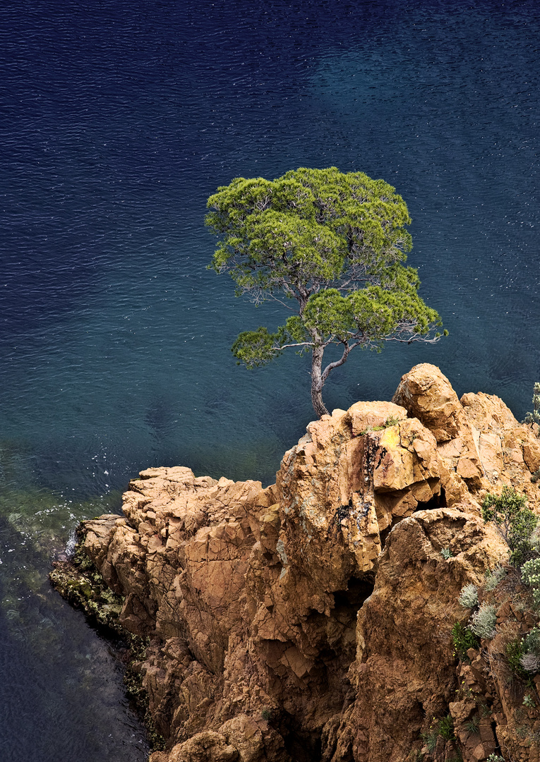 Côte d'Esterel Südfrankreich