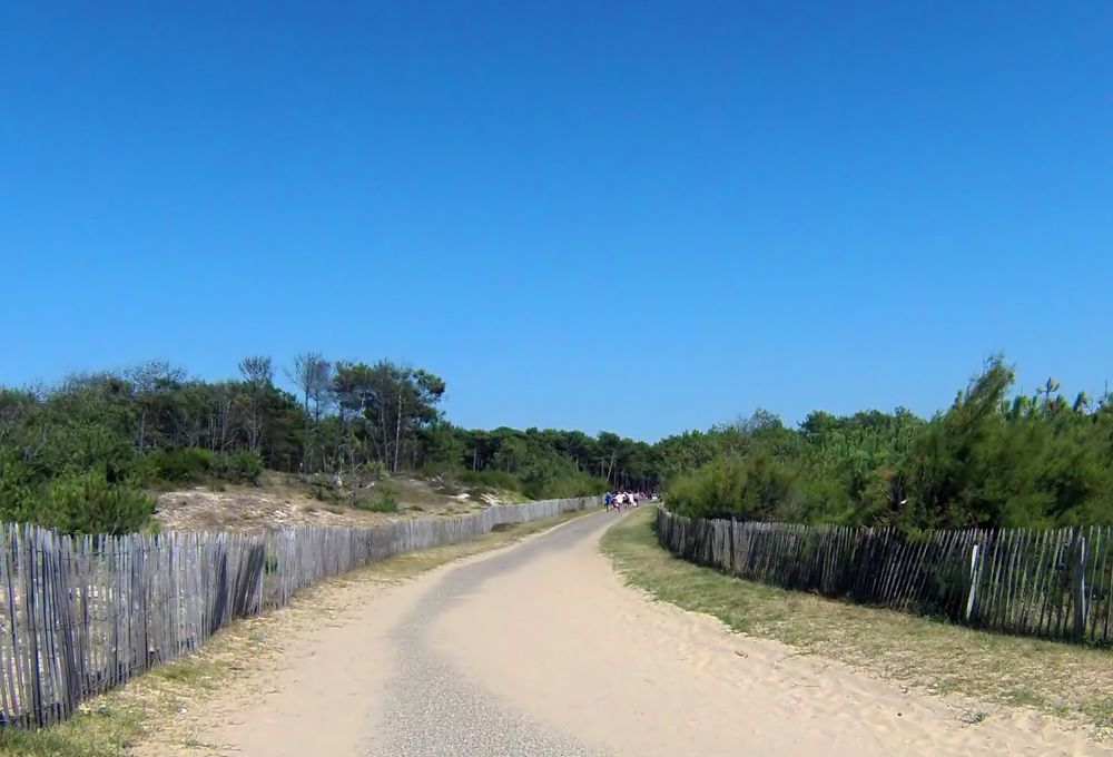 Côte landaise - De la plage à la forêt