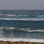 Côte landaise : vagues - 1 -- Küste von den Landes : Wellen - 1