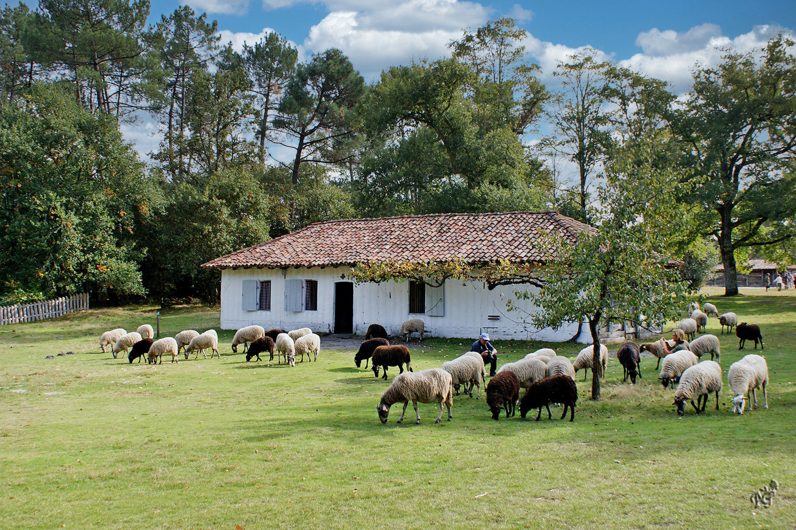 Côté Landes