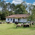 Côté Landes