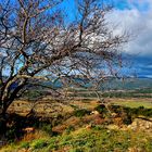 Côté Luberon (2)