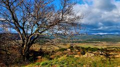 Côté Luberon (2)