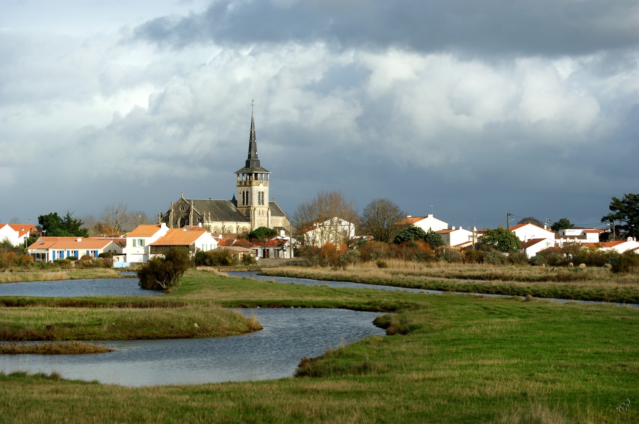 Côté marais ...