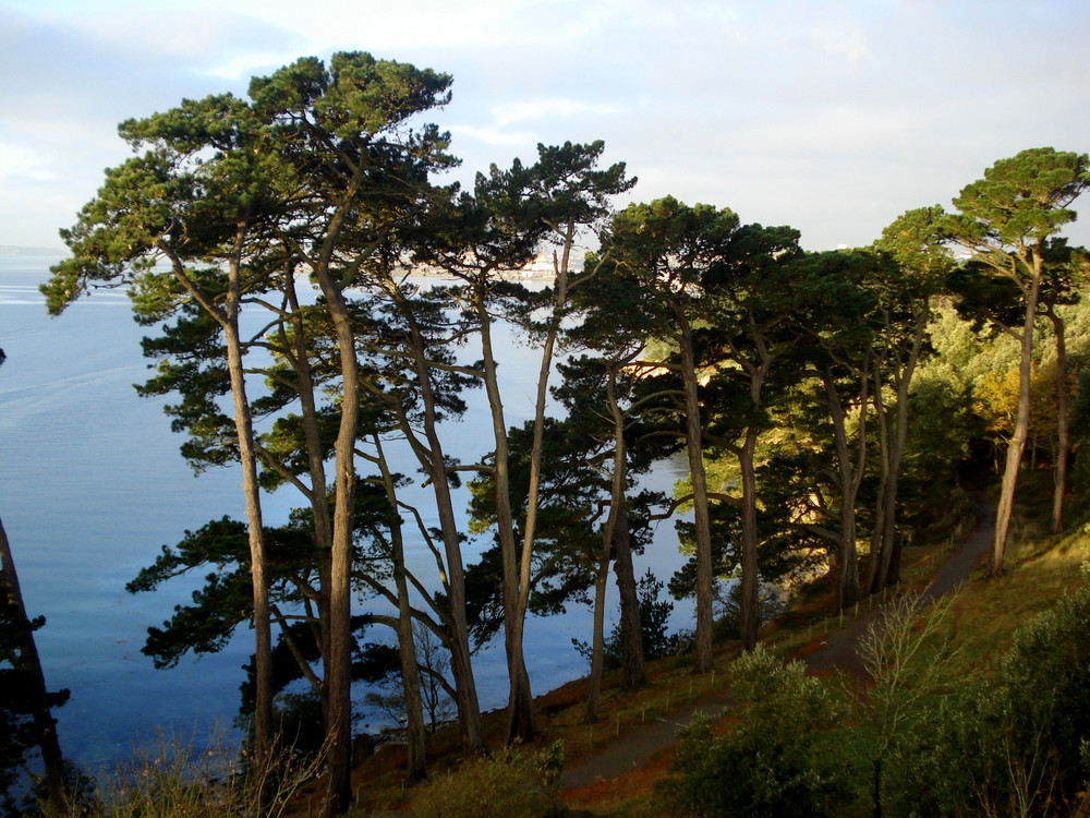 coté nord de la rade brest