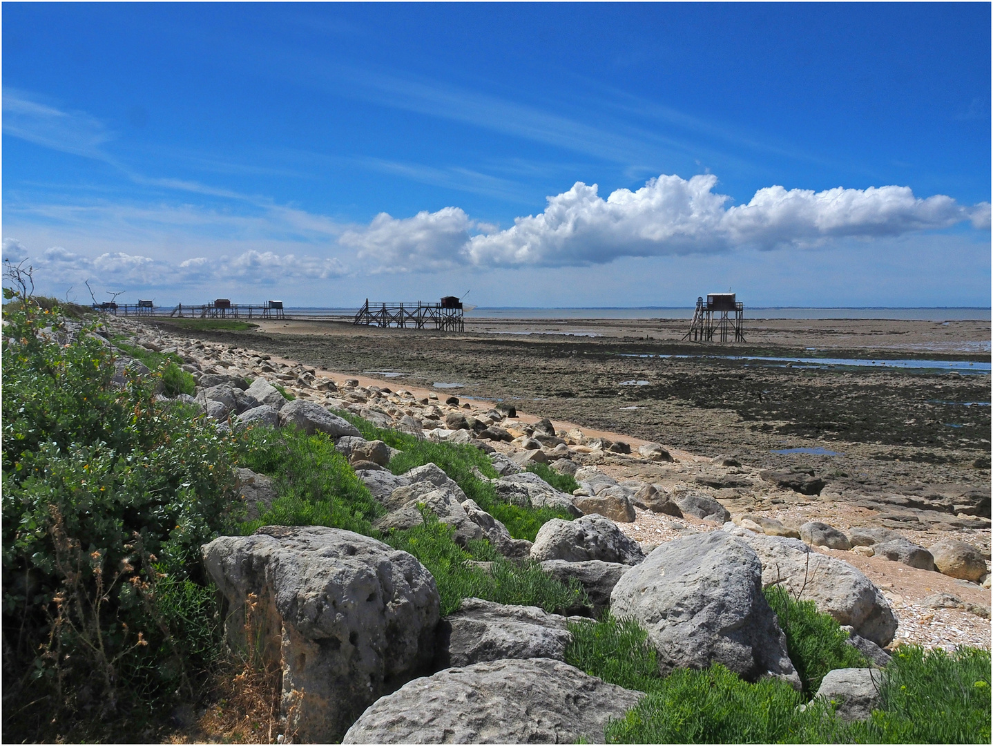 Côte nord de l’Île Madame à marée basse