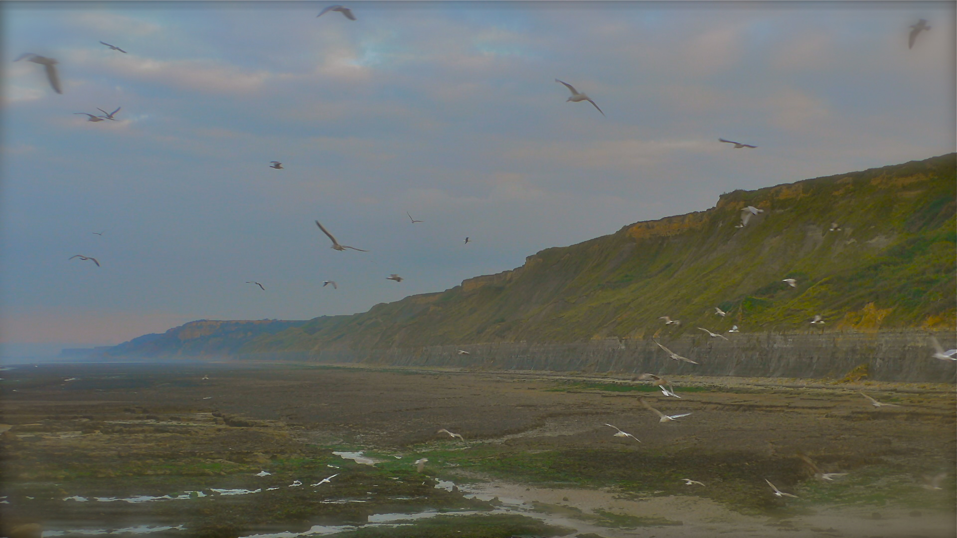 Côte Normande