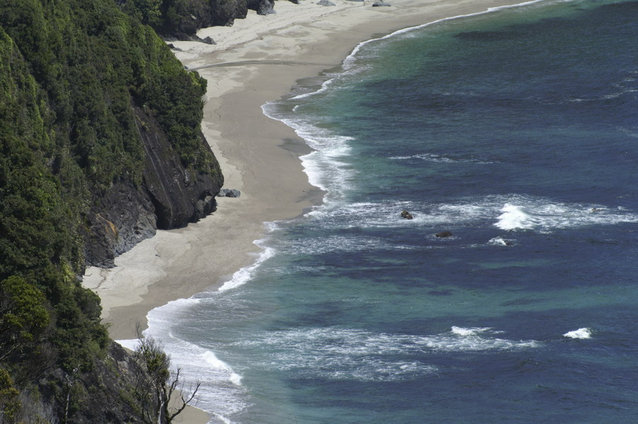 Côte Ouest (Nouvelle Zélande)