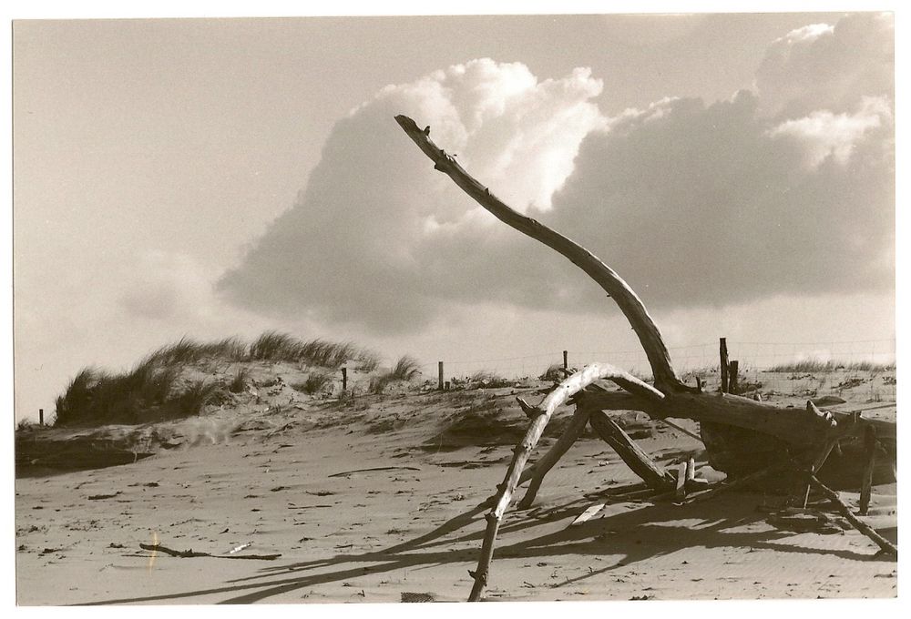 côte sauvage charente maritime