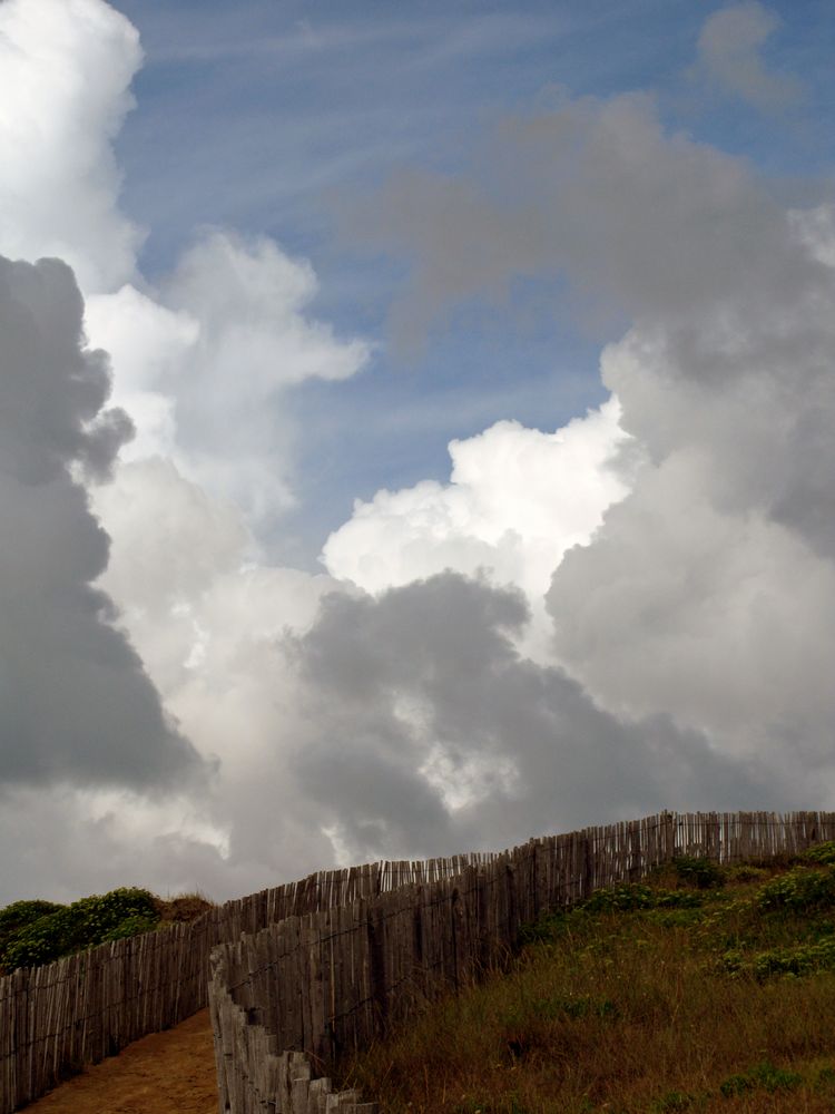 Côte Sauvage, Quiberon (1)