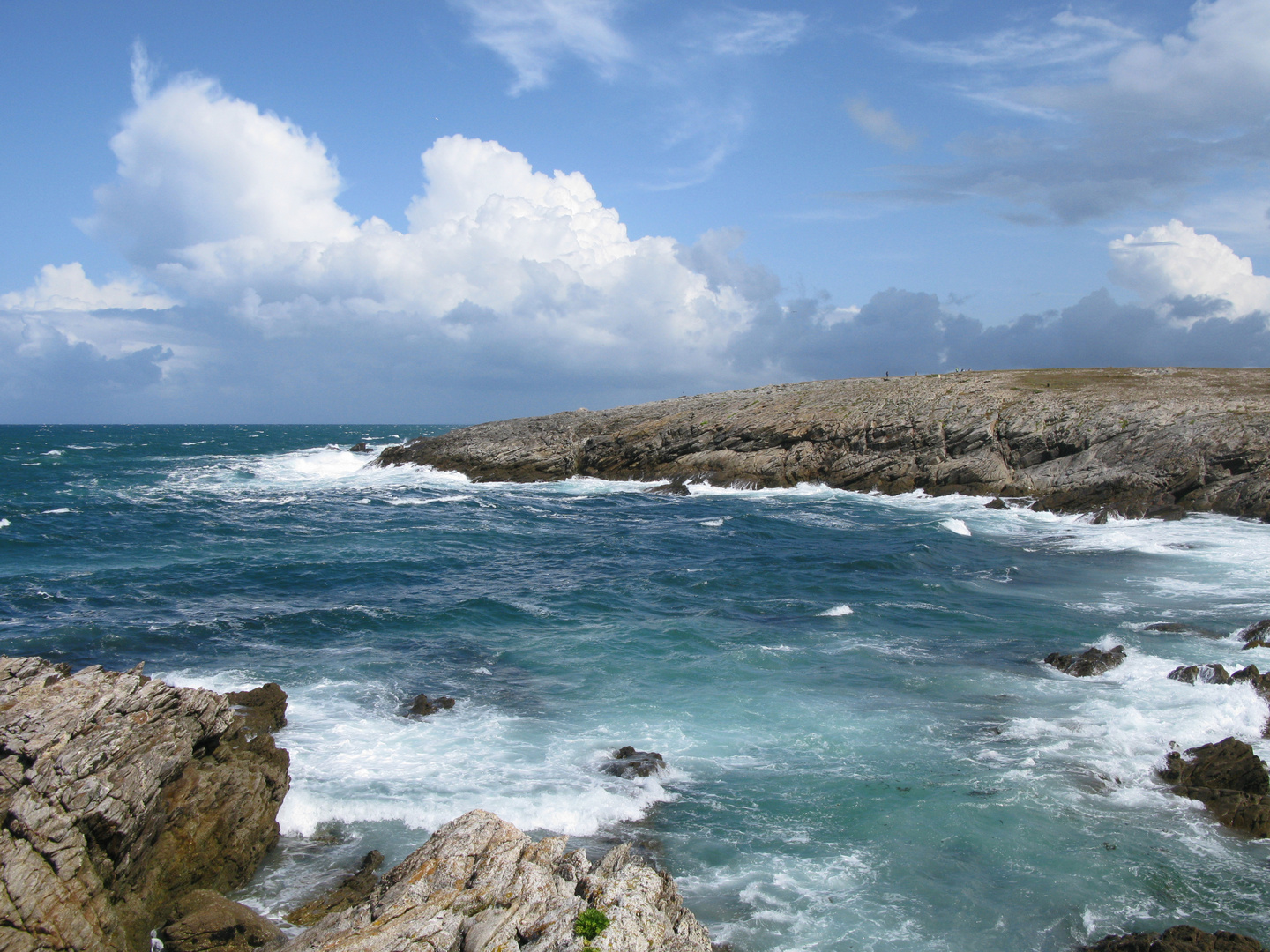 Côte Sauvage, Quiberon (2)