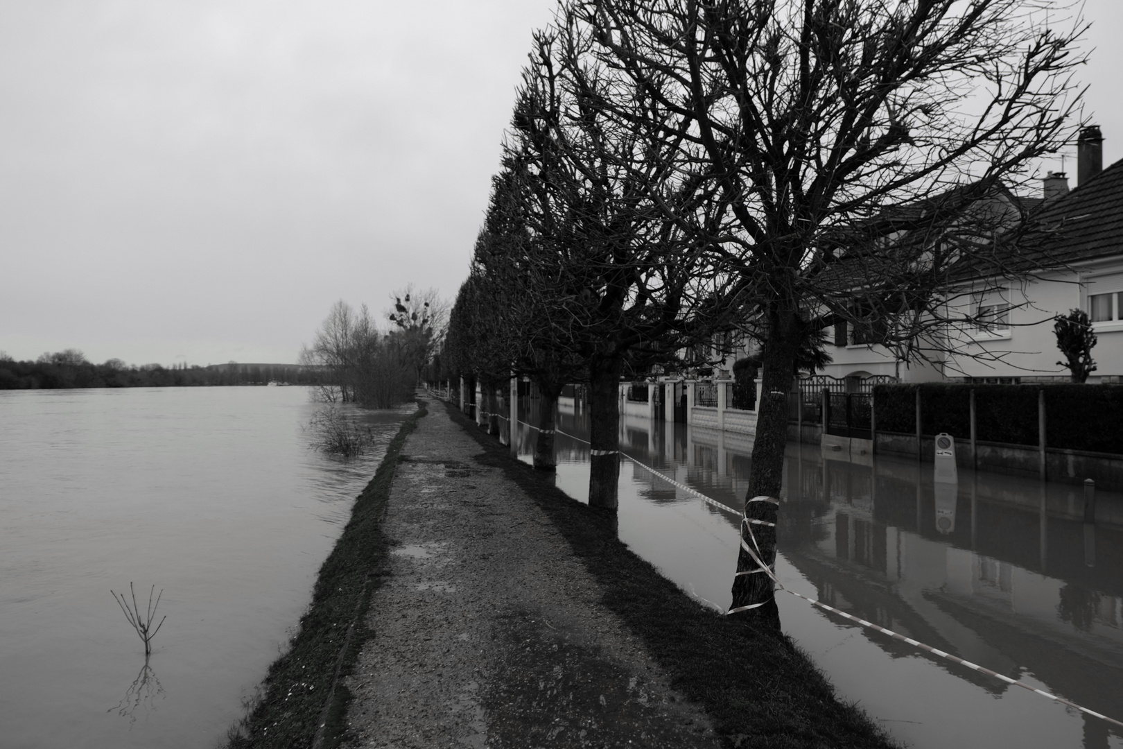 coté Seine-Montesson 