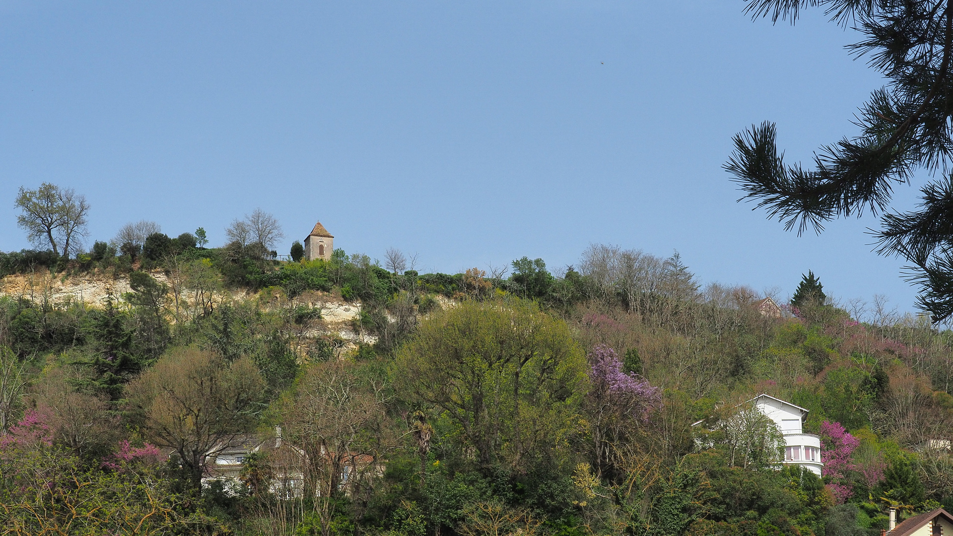 Coteau de l’Ermitage au printemps