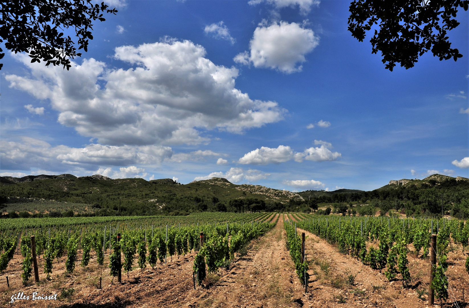 Coteaux d'Aix