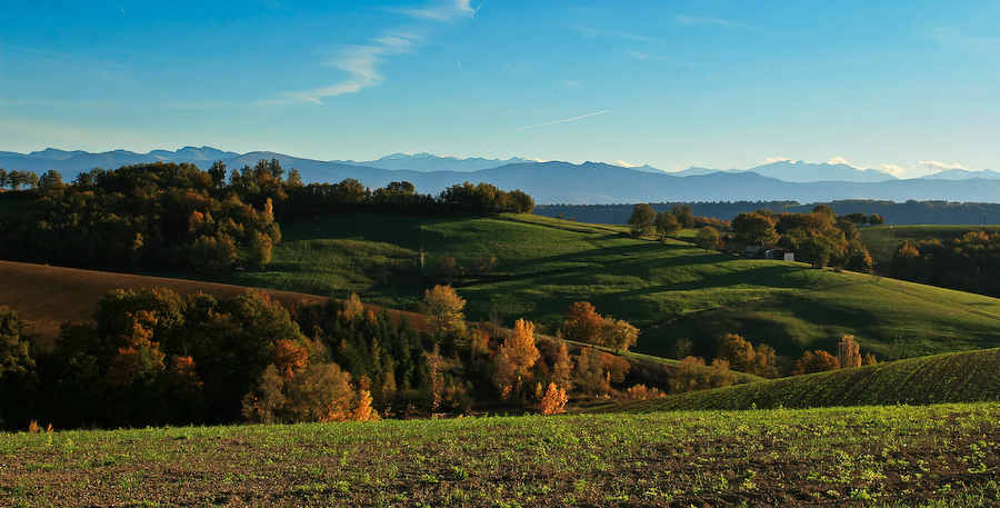 Coteaux du volvestre by herve008 