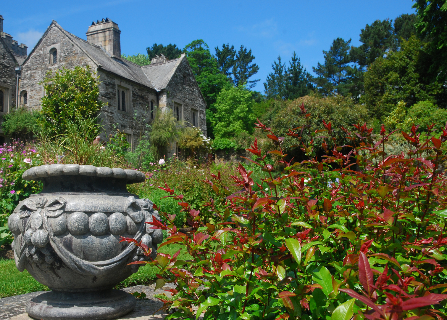 Cotehele House