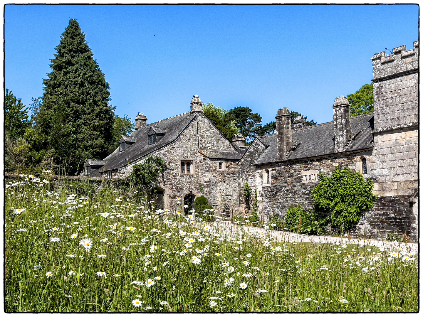 Cotehele House