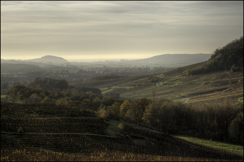 Cotes du Jura