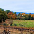 Côtes du Luberon