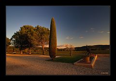 Côtes du Rhône