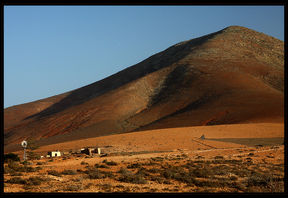 Cotijo de Tetuy