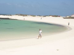 cotillo füerte