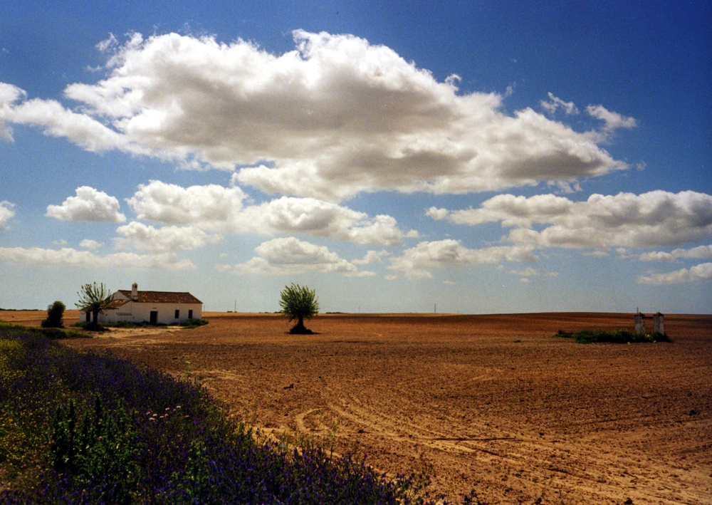 Coto de Doñana