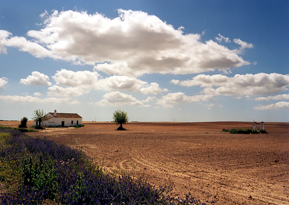 Coto de Doñana (Reload)