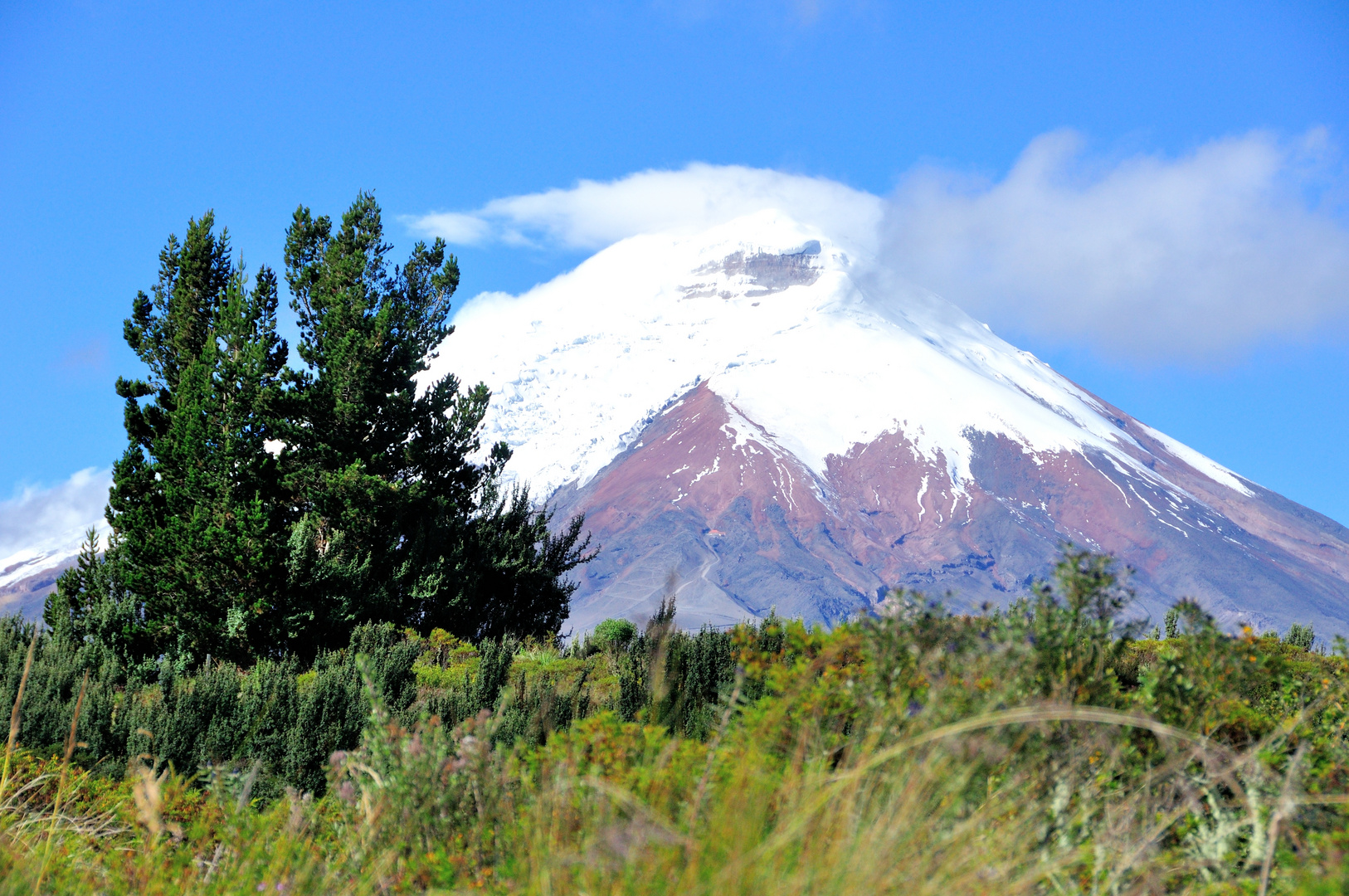 Cotopaxi