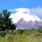 Cotopaxi