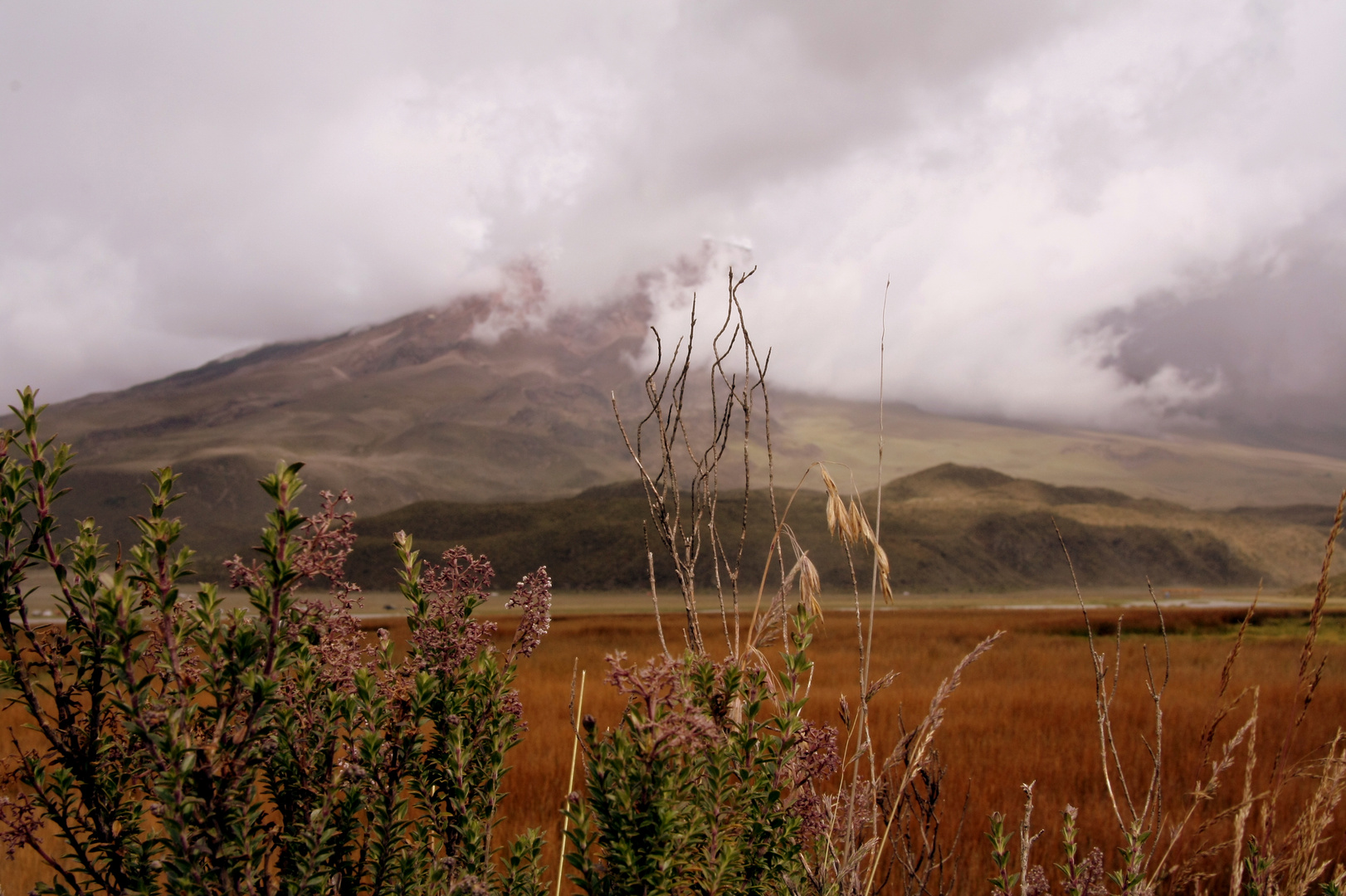 cotopaxi 3.0