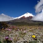 Cotopaxi