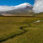 Cotopaxi