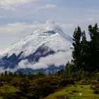 Cotopaxi