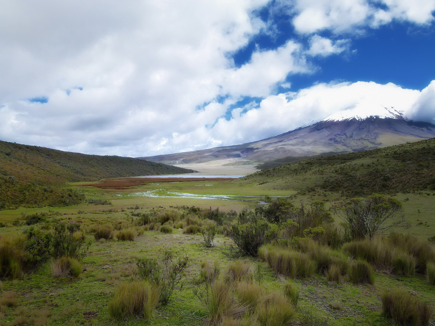 cotopaxi