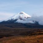 Cotopaxi