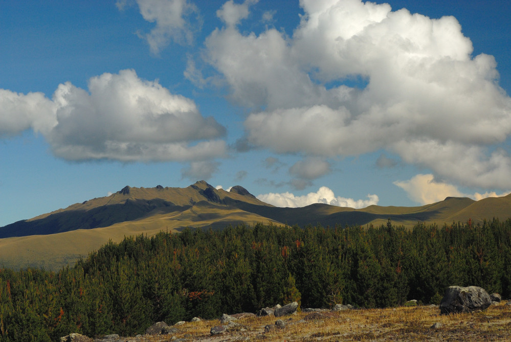 Cotopaxi Nationalpark 2