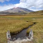 Cotopaxi NP in Ecuador