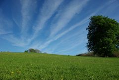 Cotswolds, Guiting power (2)