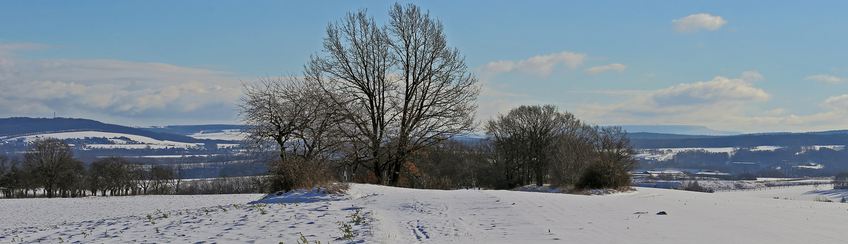 Cottaer Spitzberg und Hoher Schneeberg vom "Meusegaster Ziegenrücken" und ...