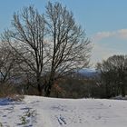 Cottaer Spitzberg und Hoher Schneeberg vom "Meusegaster Ziegenrücken" und ...