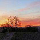 Cottaer Spitzberg, Ziegenrücken Meusegast und Hoher  Schneeberg im Morgenrot...