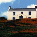 Cottage an der Irischen Westküste