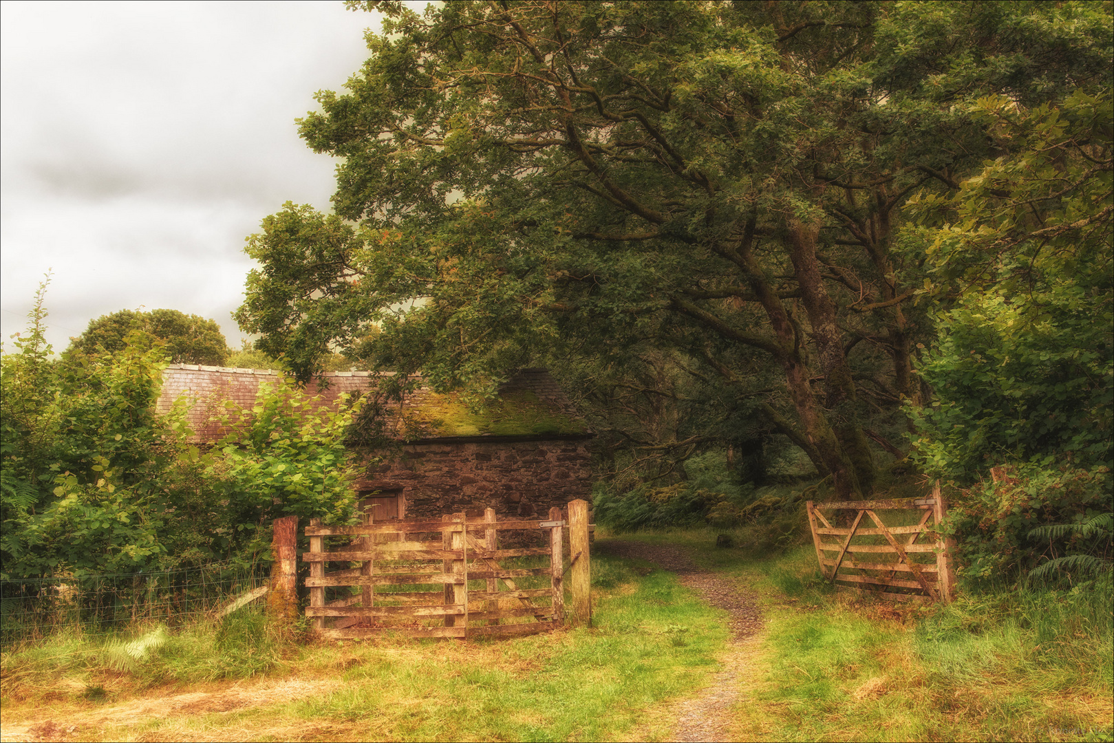 Cottage and trees