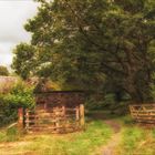 Cottage and trees