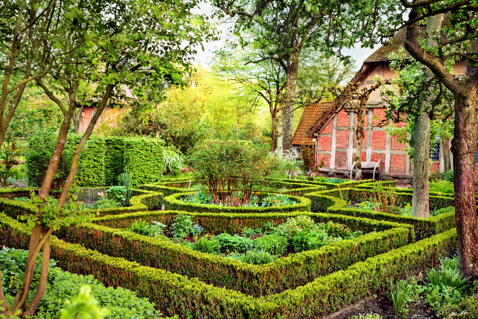 Cottage garden