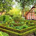 Cottage garden