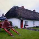 Cottage in Ireland/003