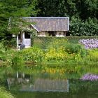 Cottage in Mondo Verde